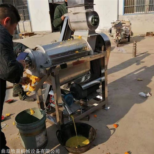 今日报价 松原小型酿酒厂设备榨汁机 压榨榨汁机专业生产